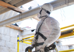 tlg-asbestos-survey-e1737651556409